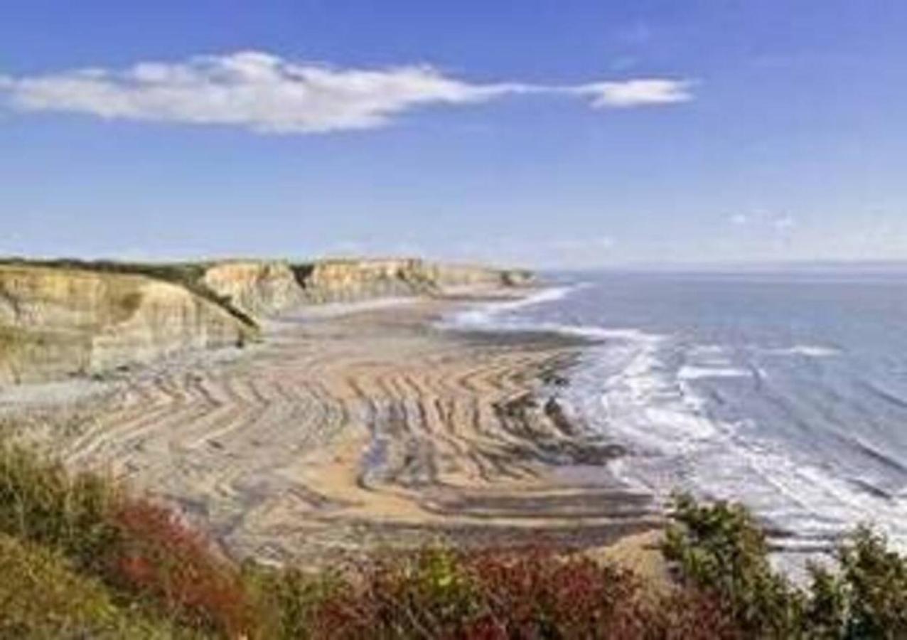1-Bed Cottage On Coastal Pathway In South Wales Gileston エクステリア 写真